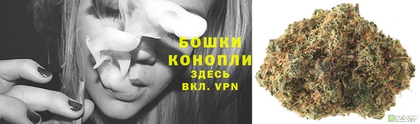 ПСИЛОЦИБИНОВЫЕ ГРИБЫ Алексин
