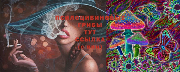 винт Арсеньев