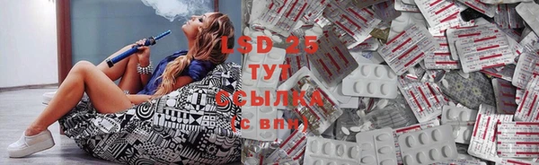 ПСИЛОЦИБИНОВЫЕ ГРИБЫ Алексин