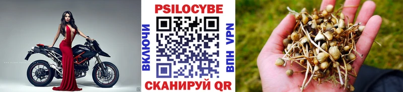 Галлюциногенные грибы Psilocybe  Набережные Челны 